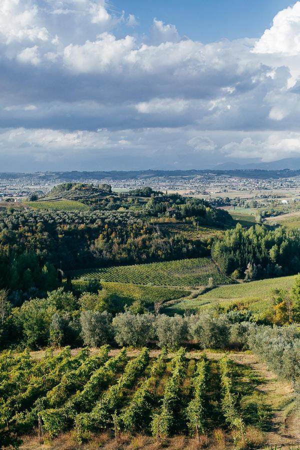 Agriturismo Bellavista San Miniato Exterior foto
